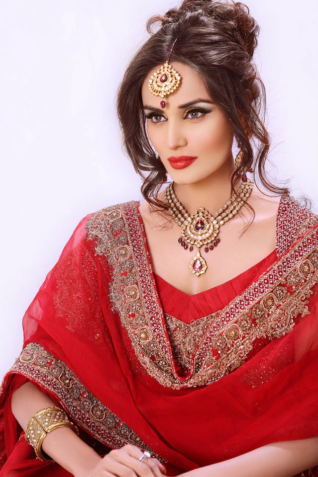 Mehreen Syed Biography
