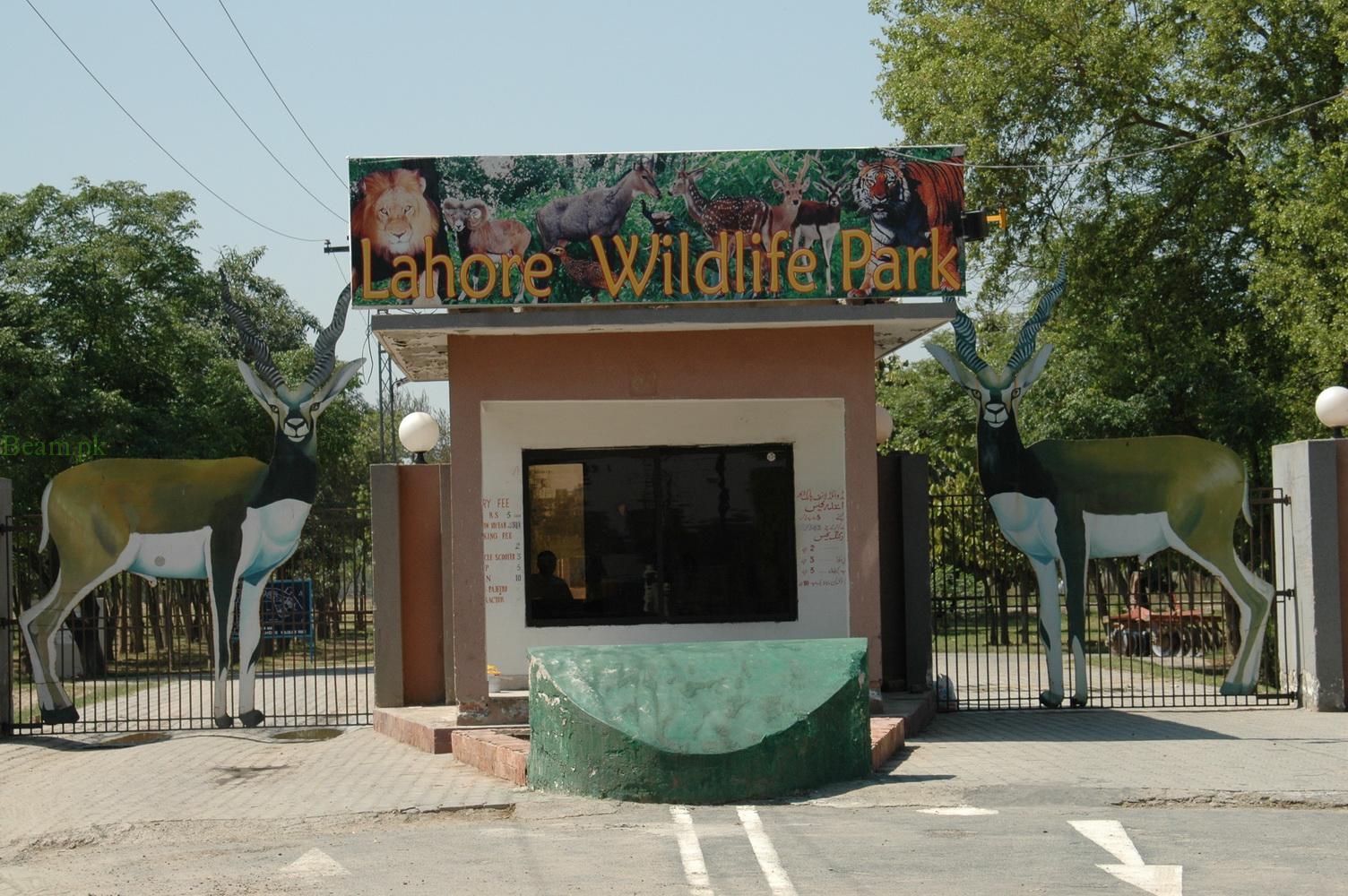 safari wildlife park lahore