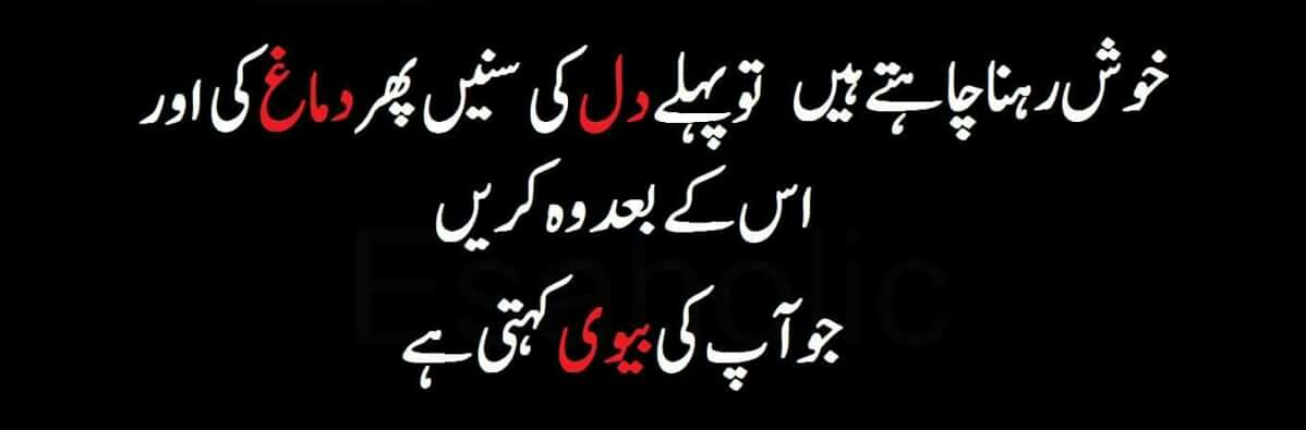 Funny Quotes In Urdu Articles Crayon