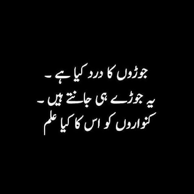 Awesome Funny Quotes About Life In General In Urdu