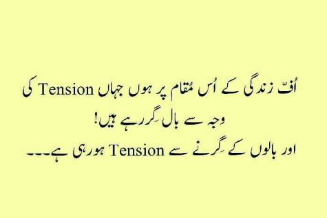 Elegant Funny Inspirational Life Quotes In Urdu Thenestofbooksreview