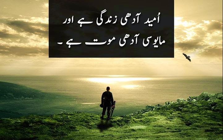 20 Best Quotes In Urdu Inspiration Crayon