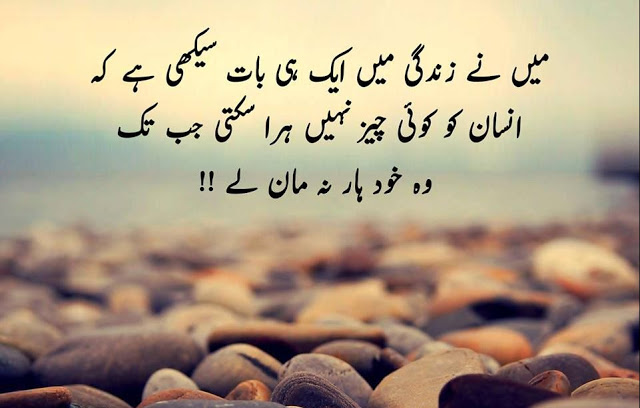 20 Best Motivational Quotes In Urdu Inspiration Crayon