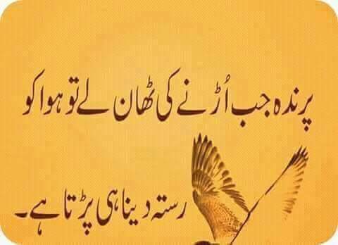 Image Result For Urdu Quotes For