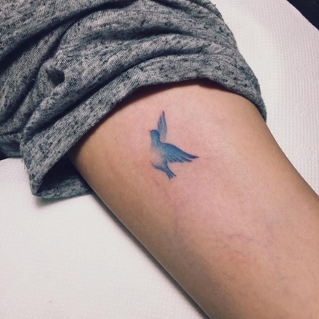 Blue Birds Amazing Tattoo Design - Easy Bird Tattoos - Easy Tattoos - Crayon