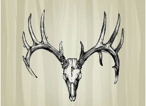 Deer Easy Skull Tattoo Design - Easy Deer Tattoos - Easy Tattoos - Crayon