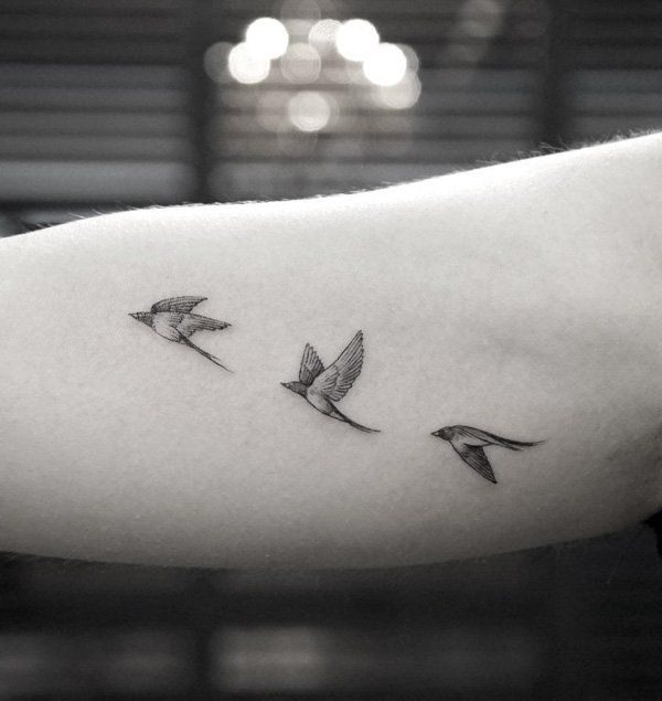 Flight Described in Quotes Birds Tattoo Design - Easy Bird Tattoos - Easy  Tattoos - Crayon