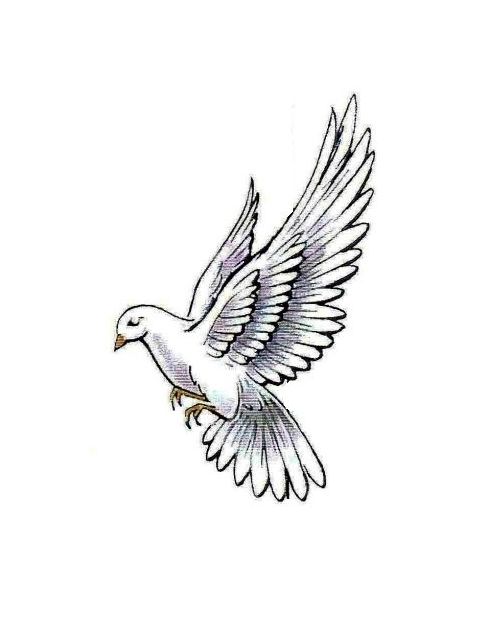 Buy Flying Bird Tattoo Online In India  Etsy India