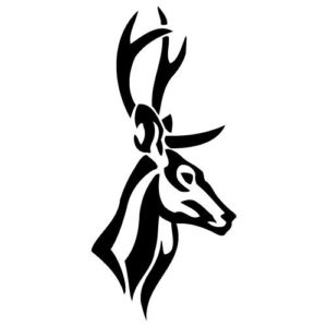 Deer Easy Skull Tattoo Design - Easy Deer Tattoos - Easy Tattoos - Crayon